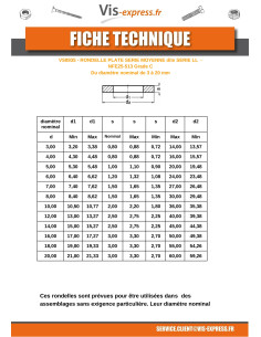 Aluslevy Litteä M20X60X3 LL Ruostumaton teräs A4 2