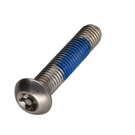1 x Metalliruuvit Ruostumaton teräs A2 Väärinkäytöltä suojattu Kupupää TORX T40 tapilla M8X40 Lukitus kierre