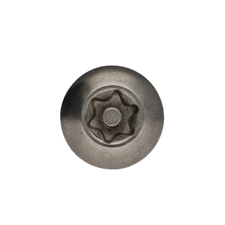 1 x Metalliruuvit Ruostumaton teräs A2 Väärinkäytöltä suojattu Kupupää TORX T40 tapilla M8X40 Lukitus kierre