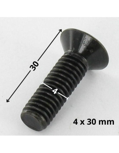 1 x Metalliruuvit uppokantainen Pozi PZ10 M4X30...