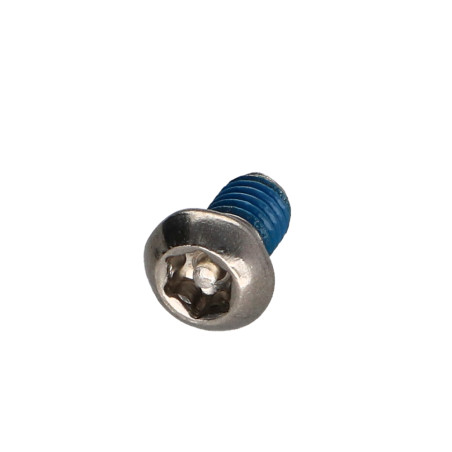 1 x Metalliruuvit Ruostumaton teräs A2 Väärinkäytöltä suojattu Kupupää TORX T30 tapilla M6X10+ Lukitus kierre