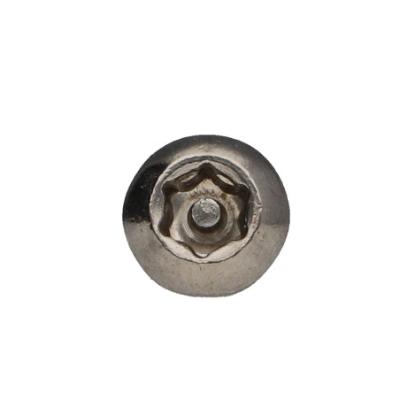 1 x Metalliruuvit Ruostumaton teräs A2 Väärinkäytöltä suojattu Kupupää TORX T30 tapilla M6X10+ Lukitus kierre
