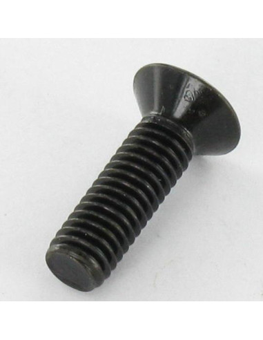 1 x Metalliruuvit uppokantainen Pozi PZ11 M6X30...