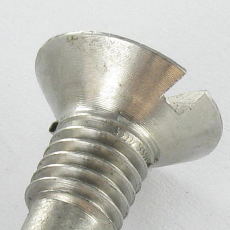 1 x Metalliruuvit uppokantainen Halkaistu 16X37 Kierteytetty kohteessa M8 Tappimainen pää Pitkä Ruostumaton teräs