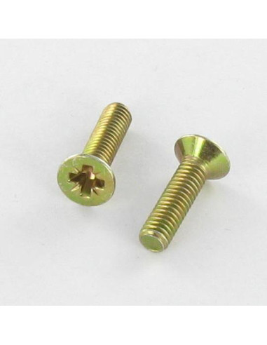 1 x Metalliruuvit uppokantainen Pozi PZ10 M4X60...