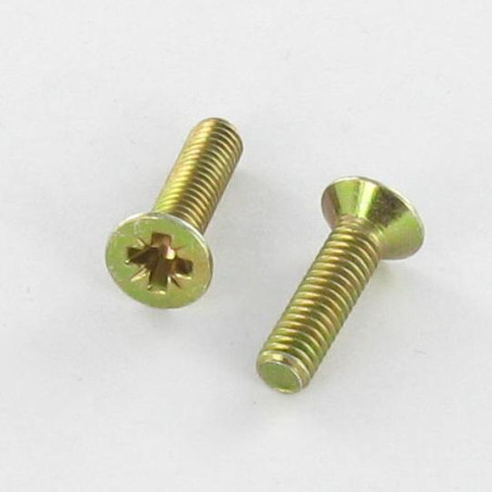 1 x Metalliruuvit uppokantainen Pozi PZ10 M5X10 Dikromattu