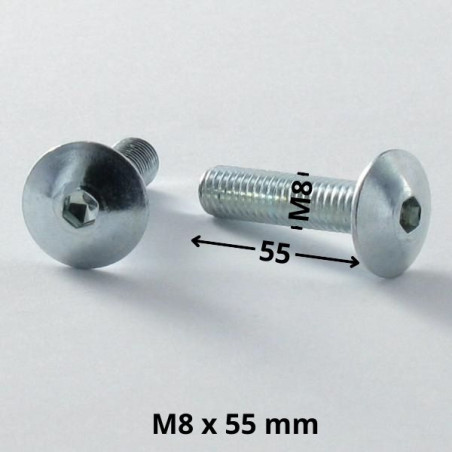 1 x Ruuvi "Kupolipultti M8X55 Avain 5 HC5 Sinkitty teräs