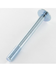 Metalliruuvit "Kupolipultti Ilman EMPR 12x120... 2