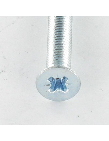1 x Metalliruuvit uppokantainen Pozi PZ11 M6X30...
