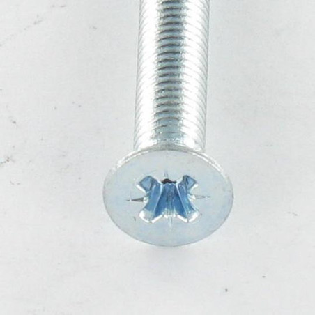 1 x Metalliruuvit uppokantainen Pozi PZ11 M6X30 Sinkitty teräs