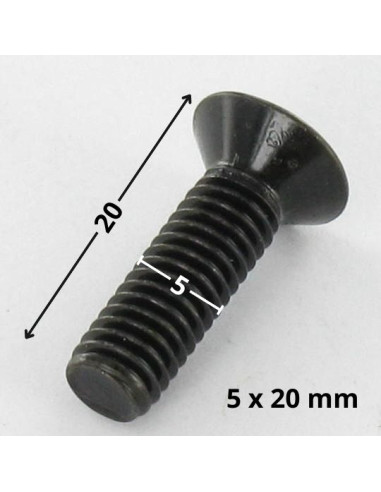 1 x Metalliruuvit uppokantainen Pozi PZ10 M5X20...
