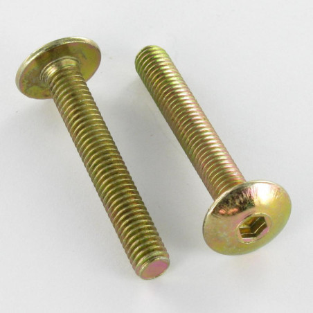 1 x Ruuvi "Kupolipultti M6X75 Avain 4 HC4 Dikromattu