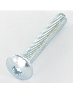 Ruuvi "Kupolipultti M8X55 Avain 5 HC5 Sinkitty teräs...