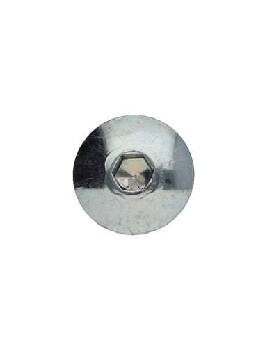 1 x Ruuvi "Kupolipultti M6X22 Avain 4 HC4...