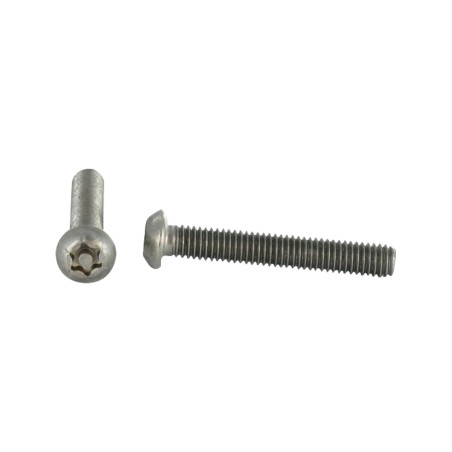 1 x Metalliruuvit Ruostumaton teräs A2 Väärinkäytöltä suojattu Kupupää TORX T30 tapilla M6X50