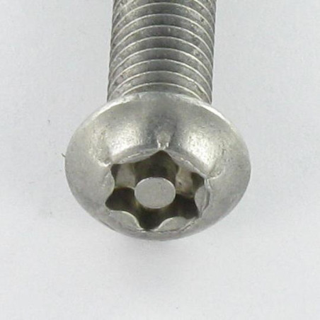 1 x Metalliruuvit Ruostumaton teräs A2 Väärinkäytöltä suojattu Kupupää TORX T30 tapilla M6X50