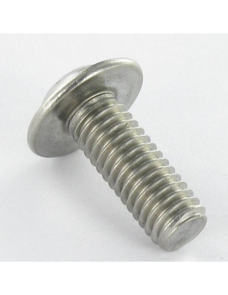 1 x Metalliruuvit Kupupää Laippakanta TORX T30 M6X10 Kokonaan kierteytetty Ruostumaton teräs A2