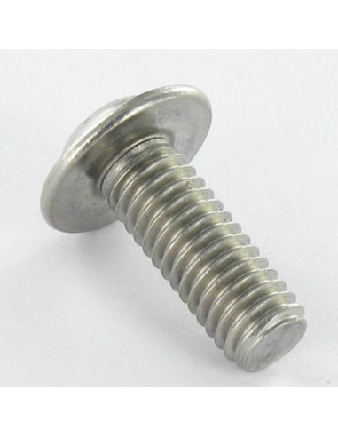 1 x Metalliruuvit Kupupää Laippakanta TORX T40...