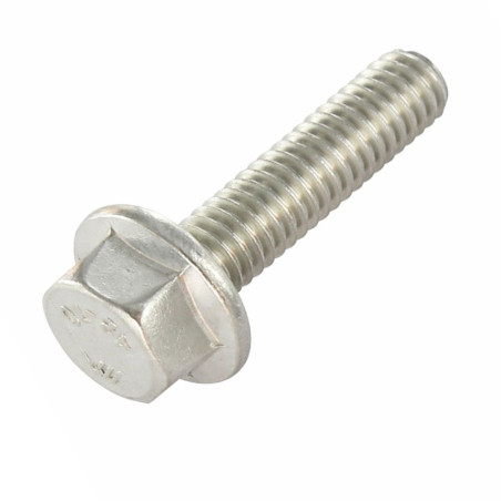 1 x Metalliruuvit Kuusiopää TH Uritettu laippakanta M12X20 Ruostumaton teräs A4