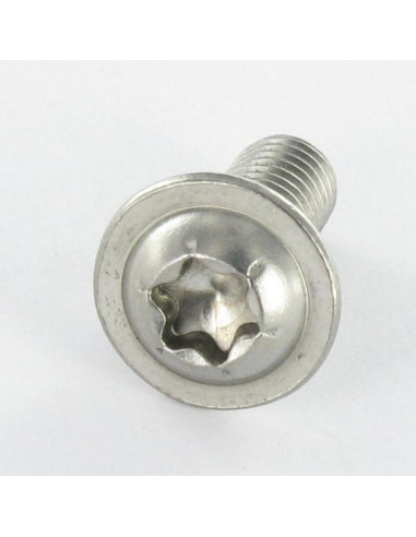 1 x Metalliruuvit Kupupää Laippakanta TORX T25...