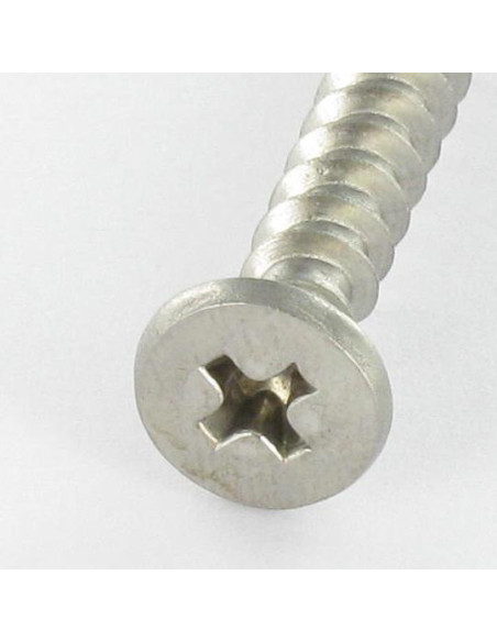 1 x PVC-ruuvi Ruostumaton teräs A2 Lieriöpää Phillips 5X46