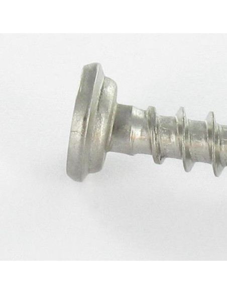 1 x PVC-ruuvi Ruostumaton teräs A2 Lieriöpää Phillips 5X46