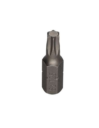 1 x Kärki TORX T25 FIZOMAX