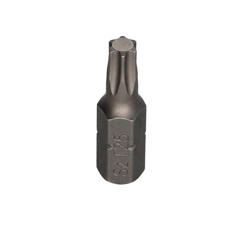 1 x Kärki TORX T25 FIZOMAX