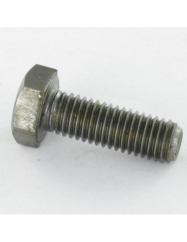 1 x Metalliruuvit Kuusiopää TH M2X35 Raakateräs
