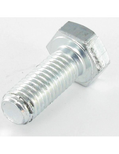1 x Metalliruuvit Kuusiopää TH M10X120 Luokka...