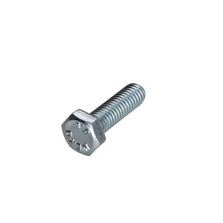 1 x Metalliruuvit Kuusiopää TH M6X20 Luokka 6.8 Sinkitty teräs