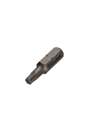 1 x Kärki TORX T20 FIZOMAX