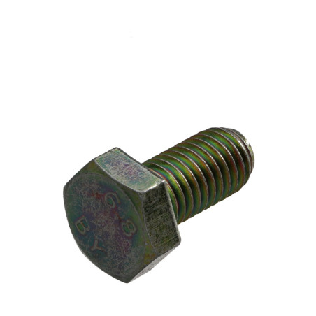 1 x Metalliruuvit Kuusiopää TH M5X10 Luokka 6.8 Dikromattu