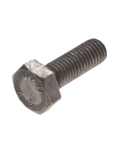 Metalliruuvit Kuusiopää TH M2X4 Raakateräs