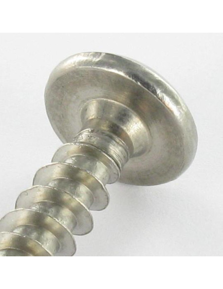1 x Ruuvi Sarana Väärinkäytöltä suojattu TORX T30 tapilla 6x50 Ruostumaton teräs A2