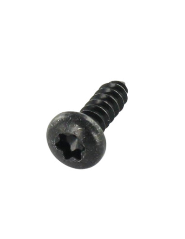 1 x Levyruuvi Lieriöpää TORX T10 2,9 x 6,5...