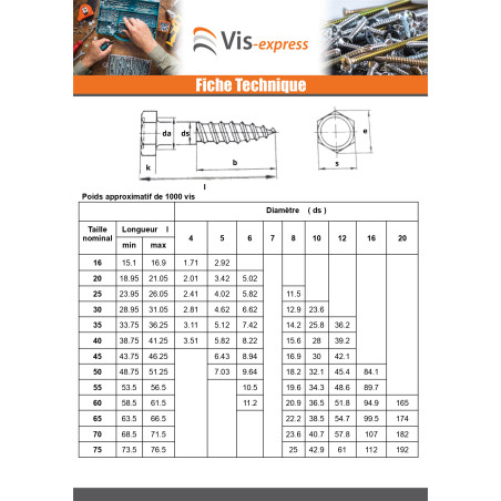 1 x Ankkuriruuvit 6x100 Sinkitty teräs