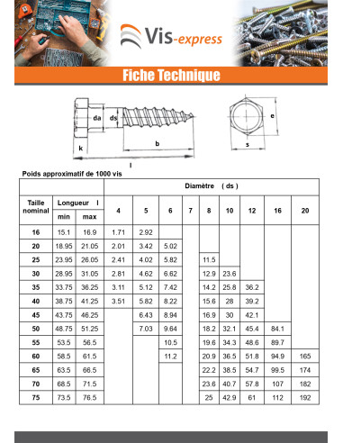 1 x Ankkuriruuvit 10X210 Dikromattu