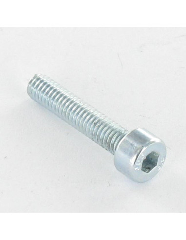 1 x Metalliruuvit "Lieriömäinen kuusiokoloruuvi...