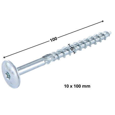 1 x Puuruuvi Levypää TORX T40 10x100 Sinkitty teräs