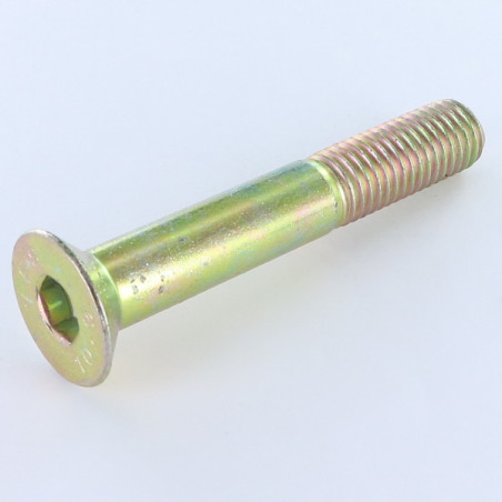 1 x Metalliruuvit "FHC kuusioruuvi uppokannalla M5X25 Kierteytetty kohteessa 16 Luokka 10.9 Avain 3 HC3 Dikromattu