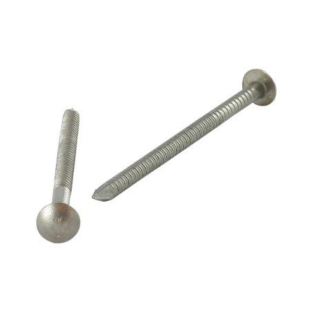 1 x Kärki Ruostumaton teräs A2 Pyöreä pää RENGASTATTU 2,2x50