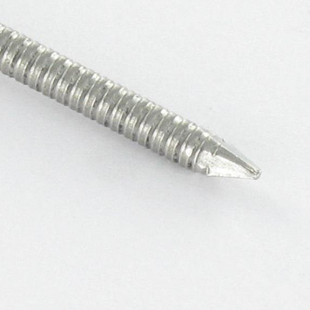 1 x Kärki Ruostumaton teräs A2 Pyöreä pää RENGASTATTU 2,2x50
