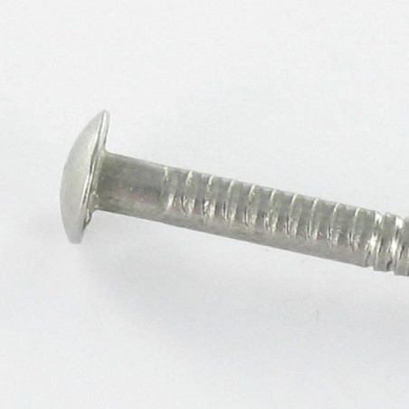 1 x Kärki Ruostumaton teräs A2 Pyöreä pää RENGASTATTU 2,2x50