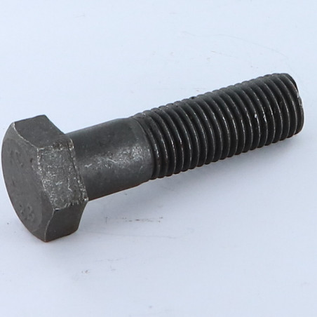 1 x "Pultin runko Kuusiopää TH M16X100 Luokka 8.8 Sinkitty teräs
