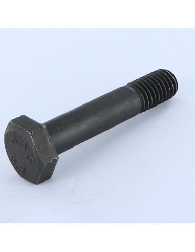 1 x "Pultin runko Kuusiopää TH M10X50...