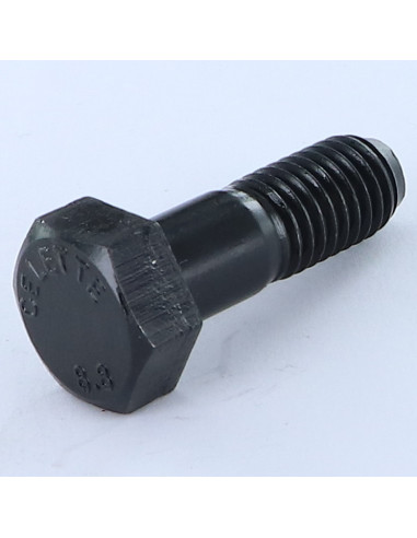1 x "Pultin runko Kuusiopää TH M12X37...