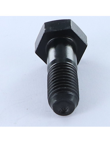 1 x "Pultin runko Kuusiopää TH M12X37...
