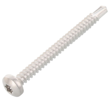1 x Itseporautuva ruuvi Lieriöpää 6,3x100 TORX T30 Ruostumaton teräs AISI 410
