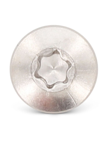 1 x Itseporautuva ruuvi Lieriöpää 6,3x100 TORX...